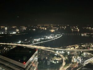 Looking out over the illuminated highway toward the cargo ships in the Singapore Strait